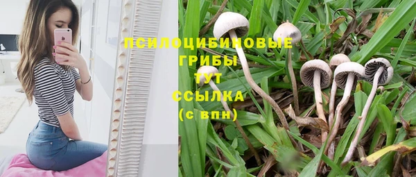 кокаин премиум Сосновый Бор