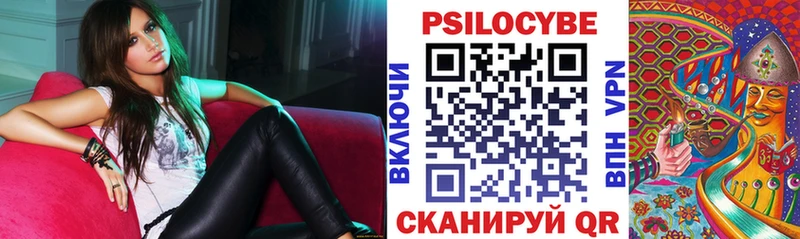 Галлюциногенные грибы Psilocybine cubensis  Купить  Бологое 