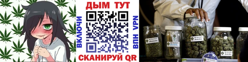 Купить закладки  Бологое  Конопля ГИДРОПОН 